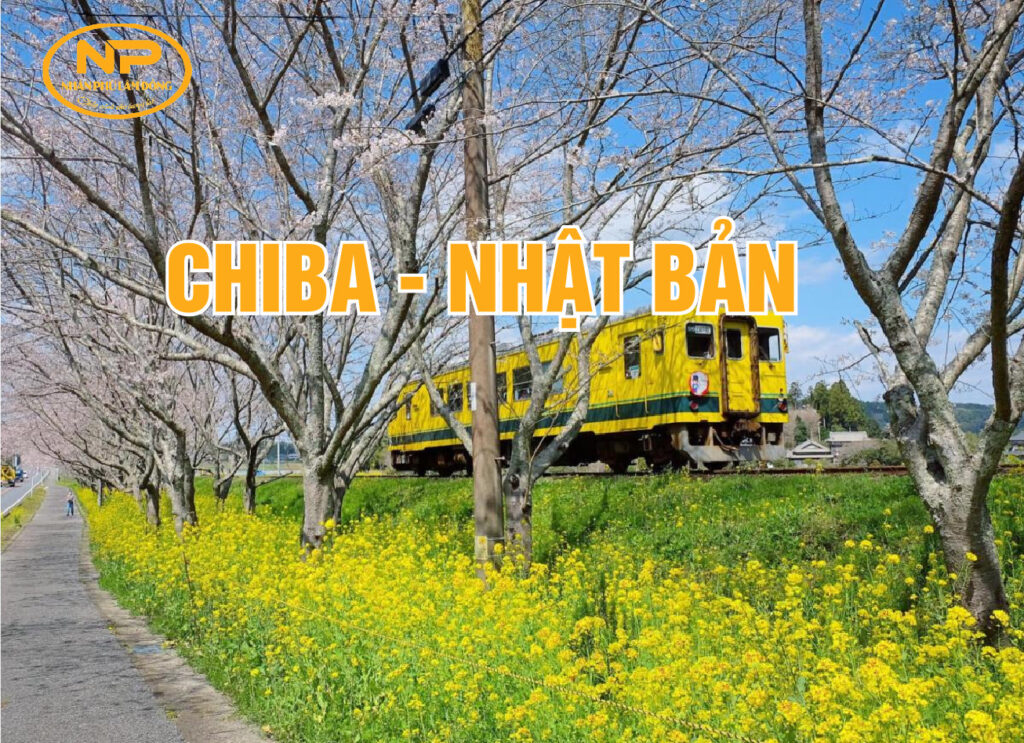 Khái quát những nét đặc sắc nhất về tỉnh Chiba – Nhật Bản