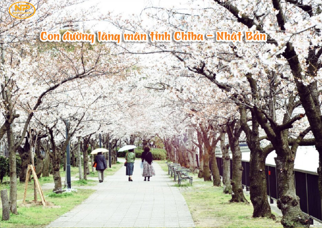 Con đường lãng mãn tỉnh Chiba - Nhật Bản