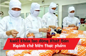 Xuất khẩu lao động Nhật Bản ngành chế biến thực phẩm