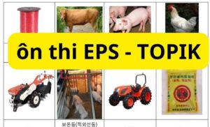 Đề thi tiếng Hàn chương trình EPS-TOPIK
